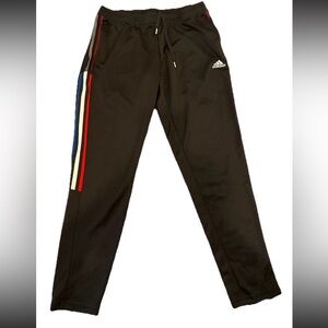 Adidas Black Track Pants with Blue, red, and white stripes.
